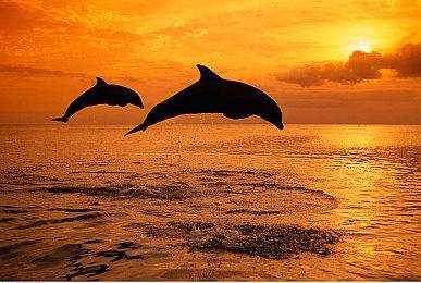 任天堂OLED Switch机型对外展示 首批真机照